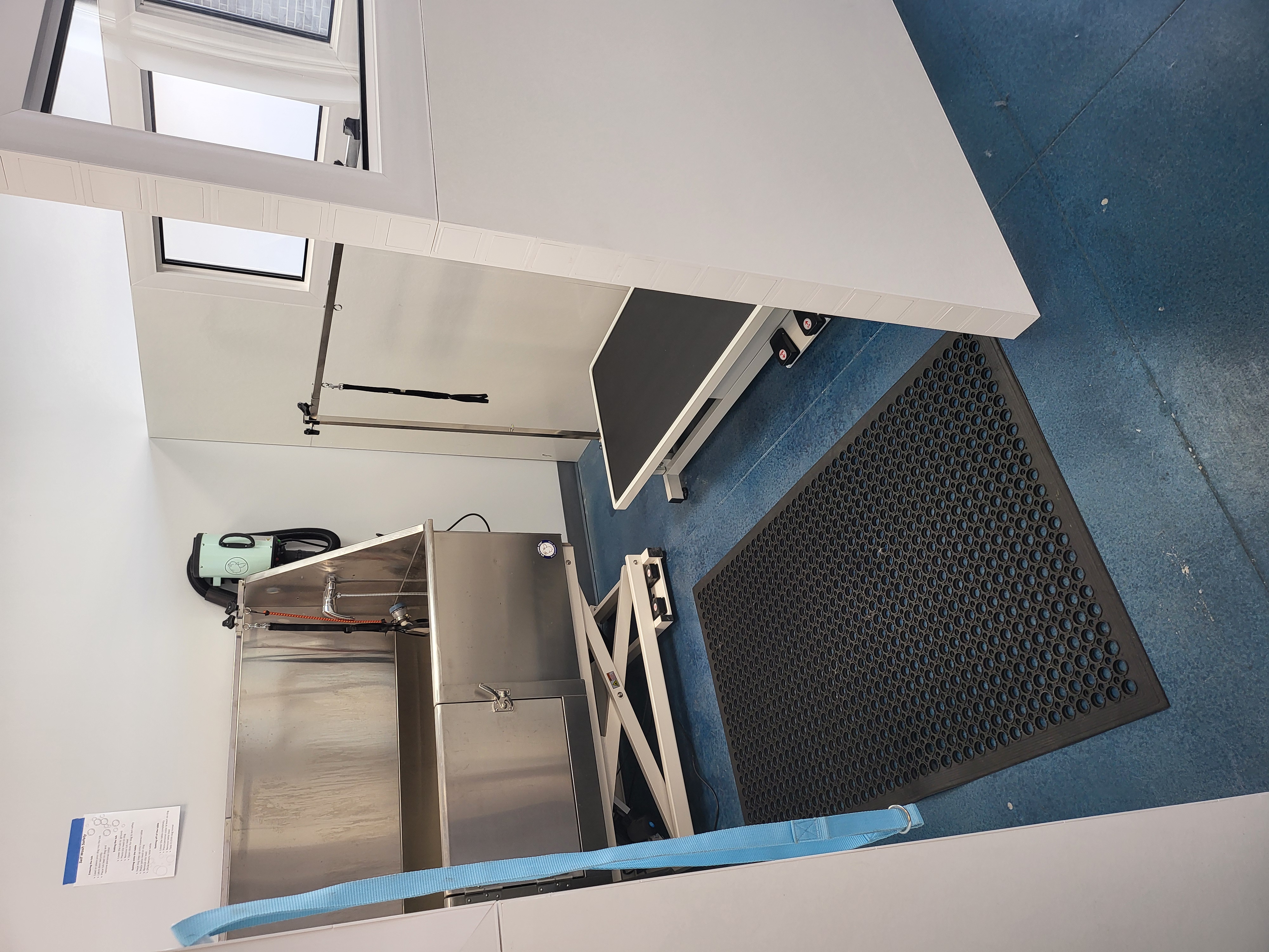 Professional self-wash suite with lifting tub, grooming table, and anti-fatigue floor mats